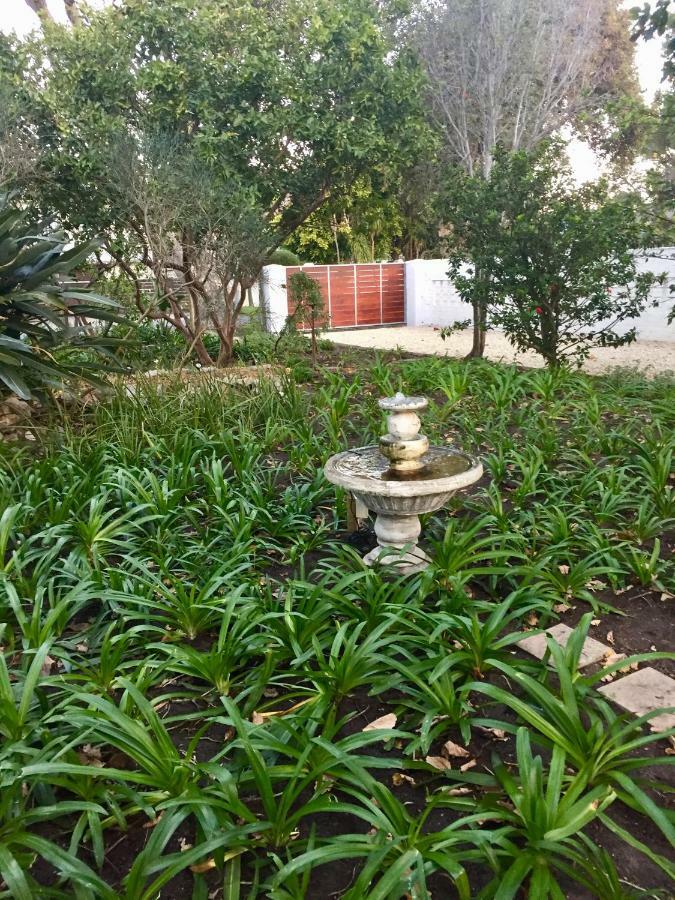 Acorn Cottage Hermanus Ngoại thất bức ảnh