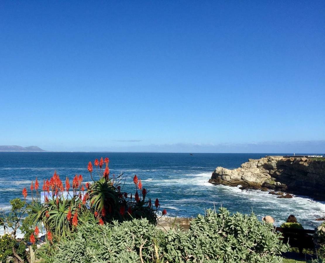 Acorn Cottage Hermanus Ngoại thất bức ảnh